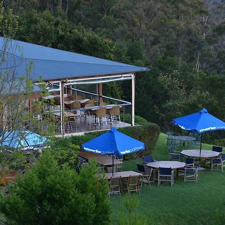 Spring Creek Mountain Cafe & Cottages Killarney 외부 사진