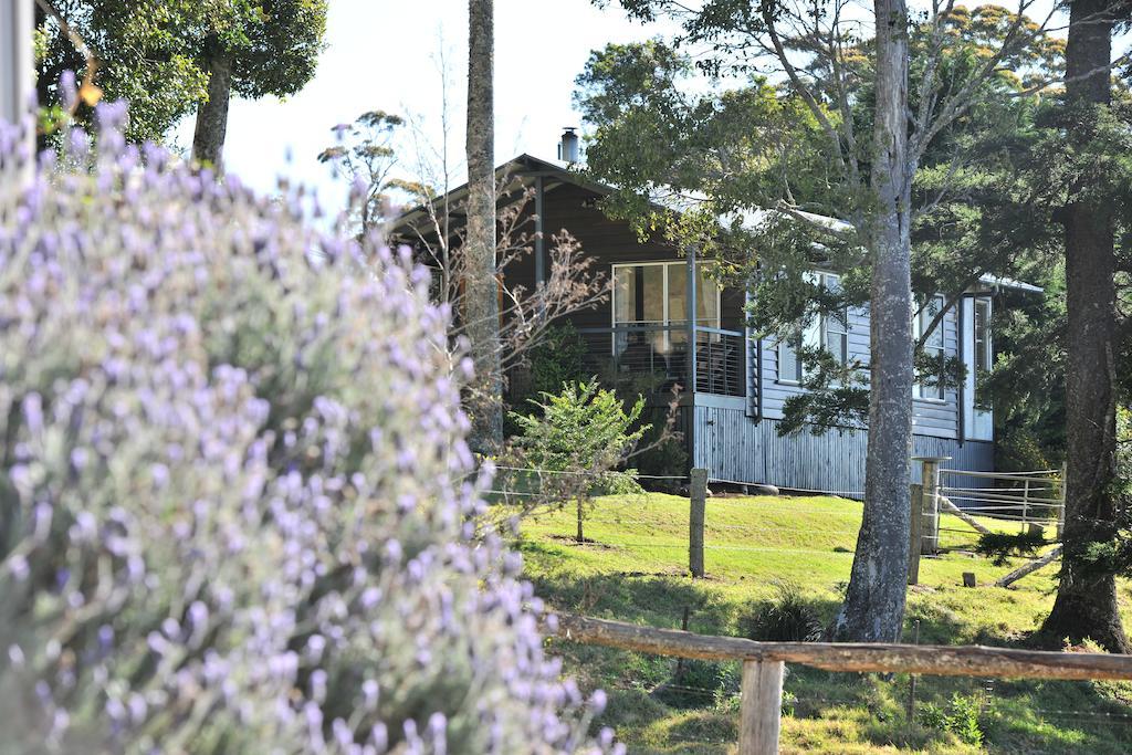Spring Creek Mountain Cafe & Cottages Killarney 외부 사진